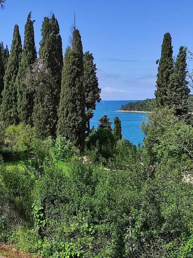 Mobile More Porton Nature Hideouts Campsite Rovinj