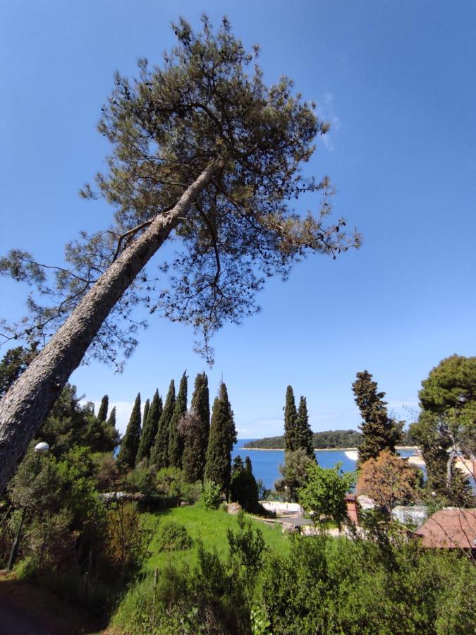 Campsite Mobile More Porton Nature Hideouts Rovinj