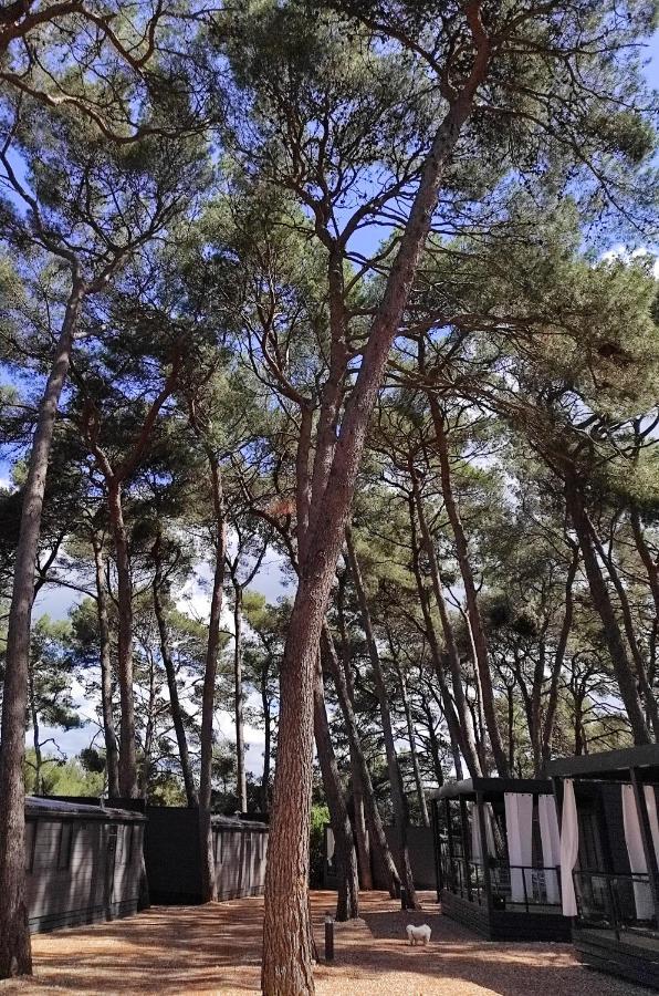 Mobile More Porton Nature Hideouts Rovinj