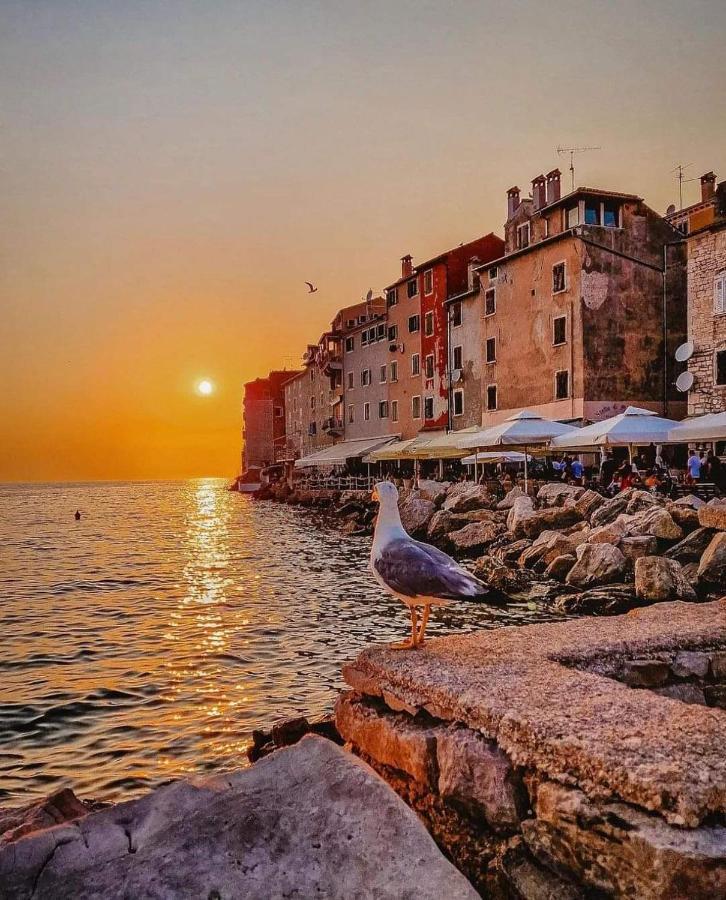 Mobile More Porton Nature Hideouts * Rovinj